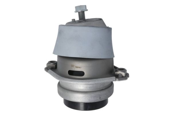 Reinhoch Motorsteun RH11-3147