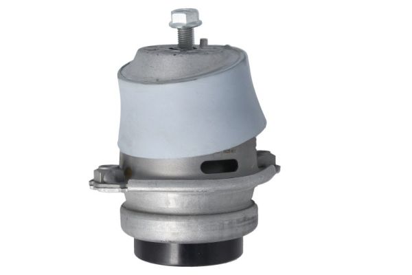 Reinhoch Motorsteun RH11-3148