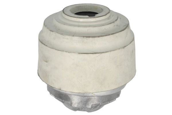 Aslichaam-/motorsteunlager Reinhoch RH11-3171