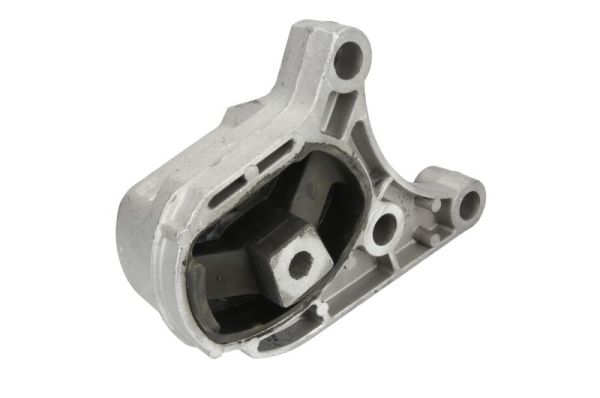 Reinhoch Motorsteun RH11-4031