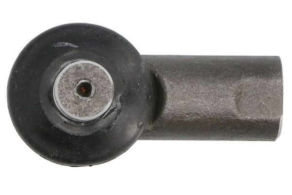 Reinhoch Spoorstangeind RH52-A161