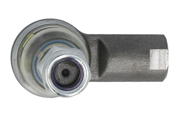 Reinhoch Spoorstangeind RH52-A170