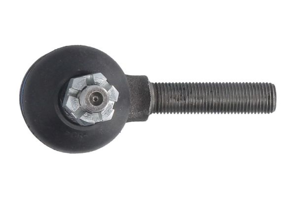 Reinhoch Spoorstangeind RH52-A382