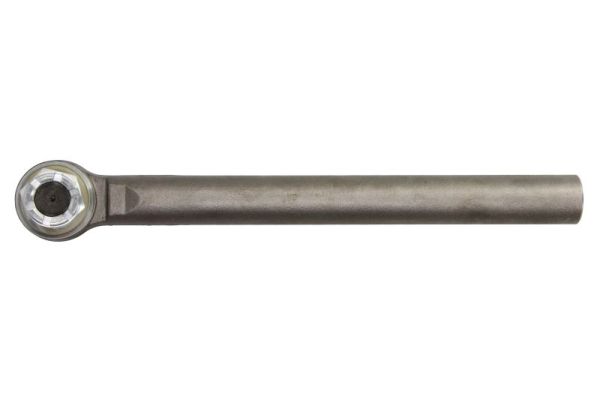 Reinhoch Spoorstangeind RH52-A516