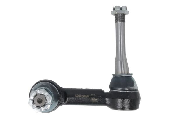 Reinhoch Stabilisatorstang RH55-9003