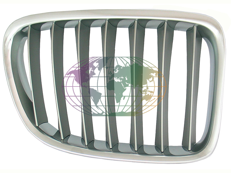 Grille Bodermann 1618363