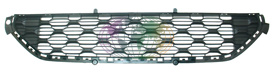 Grille Bodermann 2005370