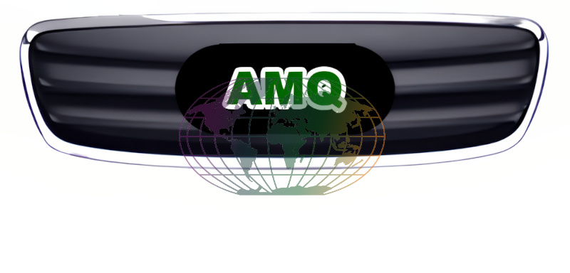 Grille Bodermann 2092355