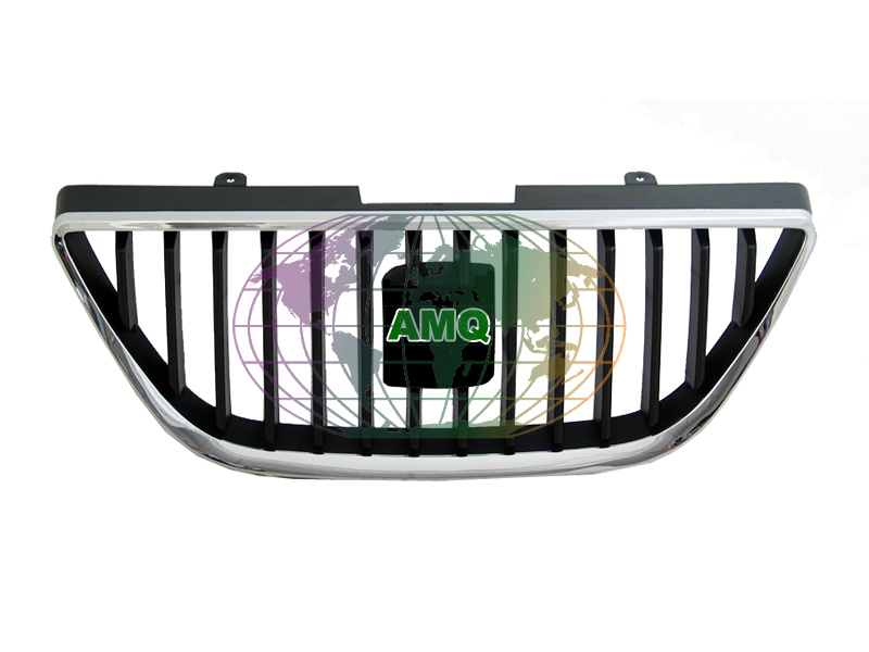 Grille Bodermann 3218350