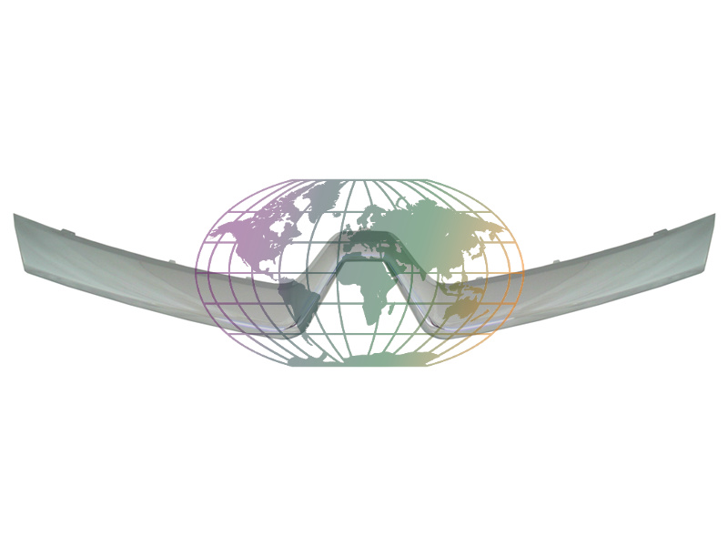 Grille Bodermann 7285385