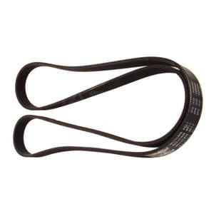 Gates Poly V-riem 3PJ891