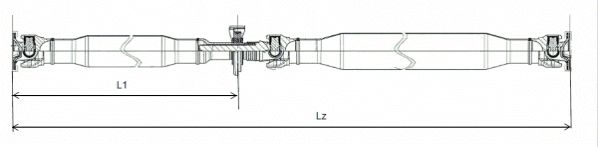 Spidan Aandrijfas GKNP20024