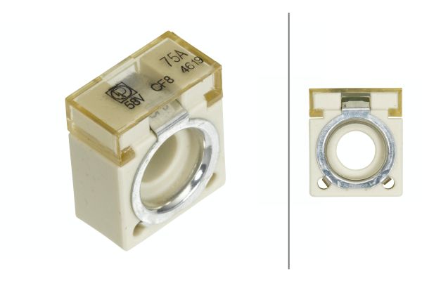 Hella Zekering 8JS 747 876-011