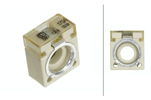 Hella Zekering 8JS 747 876-051