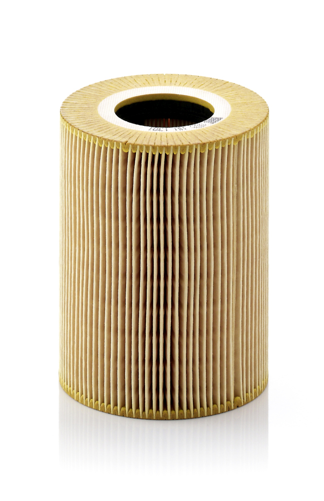 Mann-Filter Oliefilter HU 1381 x