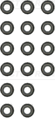 Reinz Klepsteeldichting 12-19301-01