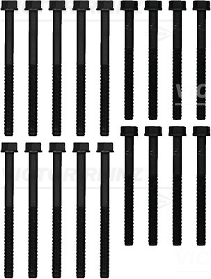 Reinz Cilinderkopboutenset 14-10021-01