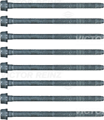 Reinz Cilinderkopboutenset 14-17428-02