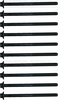 Reinz Cilinderkopboutenset 14-18424-02