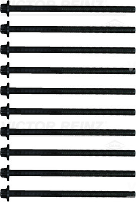 Reinz Cilinderkopboutenset 14-21984-01