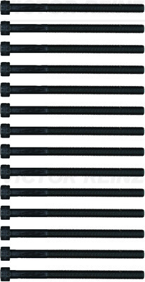 Reinz Cilinderkopbout set 14-22995-01