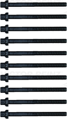 Reinz Cilinderkopboutenset 14-55095-01