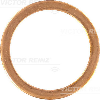 Reinz Afdichtring 40-70203-00