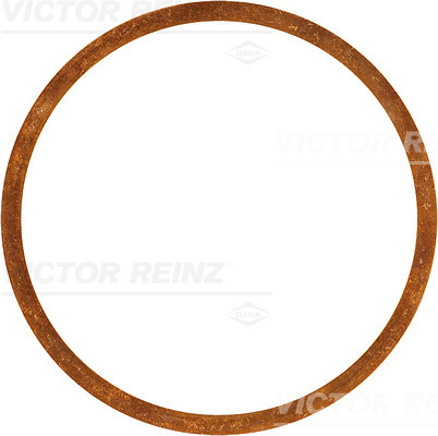 Reinz Afdichtring 40-70382-00