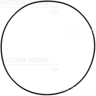 Reinz Afdichtring 40-73555-00
