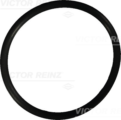 Reinz Afdichtring 40-76022-10