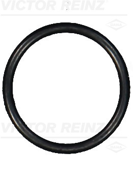 Reinz Afdichtring 40-76065-00
