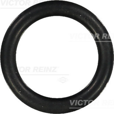 Reinz Afdichtring 40-76066-00