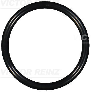 Reinz Afdichtring 40-76074-00