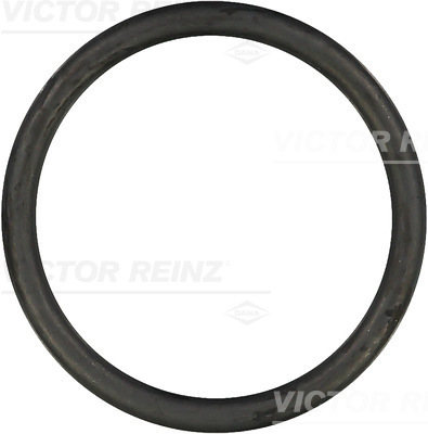 Reinz Afdichtring 40-76128-00