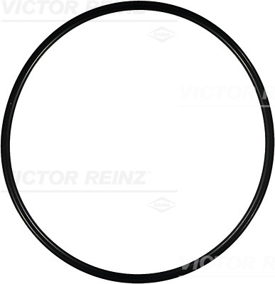 Reinz Afdichtring 40-76166-00