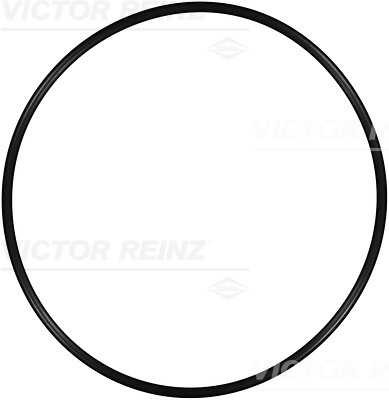 Reinz Afdichtring 40-76243-00