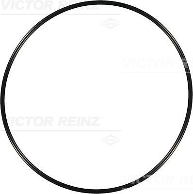 Reinz Afdichtring 40-76248-00
