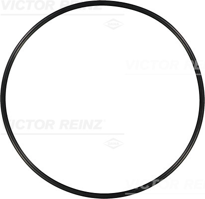 Reinz Afdichtring 40-76251-00