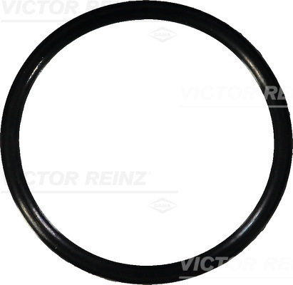 Reinz Afdichtring 40-76367-00