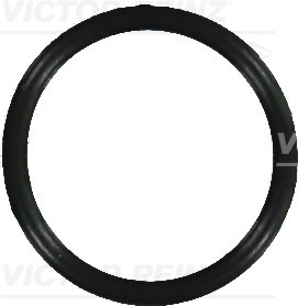 Reinz Afdichtring 40-76370-10