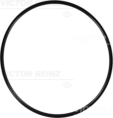 Reinz Afdichtring 40-76390-00