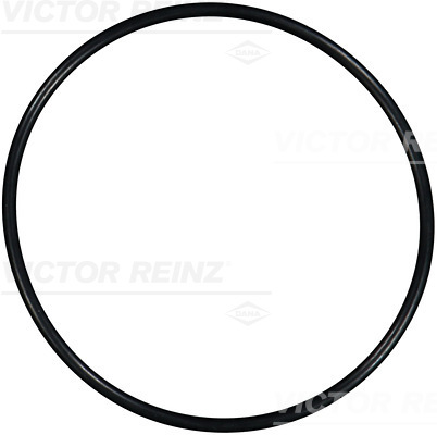 Reinz Afdichtring 40-76393-00