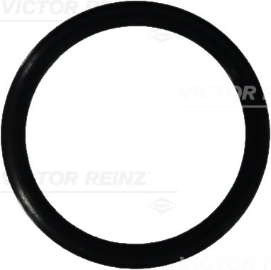 Reinz Afdichtring 40-76458-00