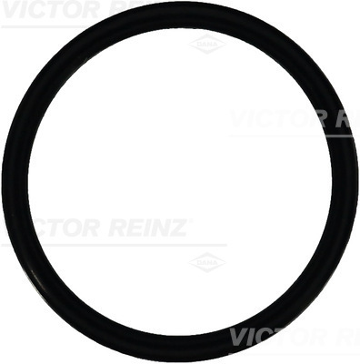 Reinz Afdichtring 40-76546-00