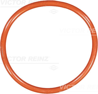 Reinz Afdichtring 40-76592-00