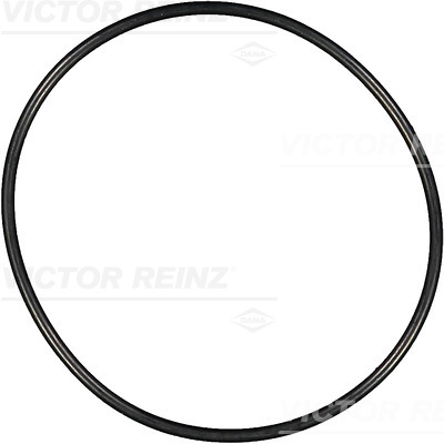 Reinz Afdichtring 40-76675-00