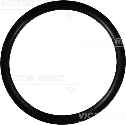 Reinz Afdichtring 40-76681-00