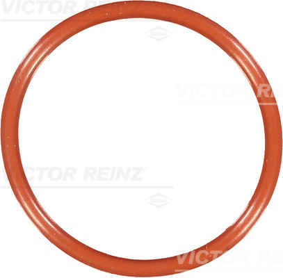 Reinz Afdichtring 40-76692-00