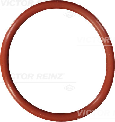 Reinz Afdichtring 40-76699-00