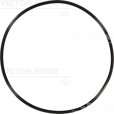 Reinz Afdichtring 40-76850-00